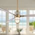 Life Detail - LBR - WCD